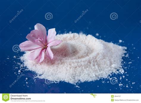 salty flower